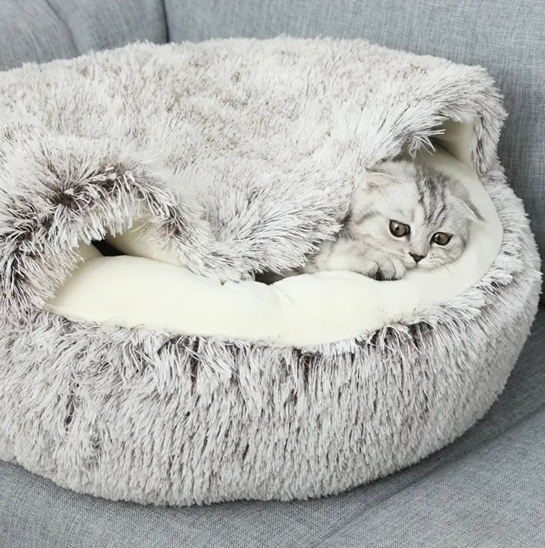 MyPlush Bed