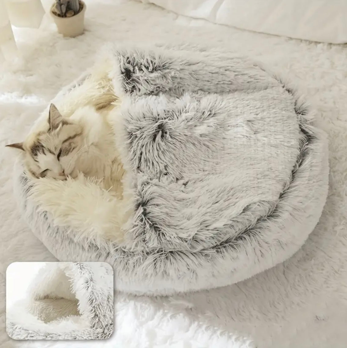 MyPlush Bed