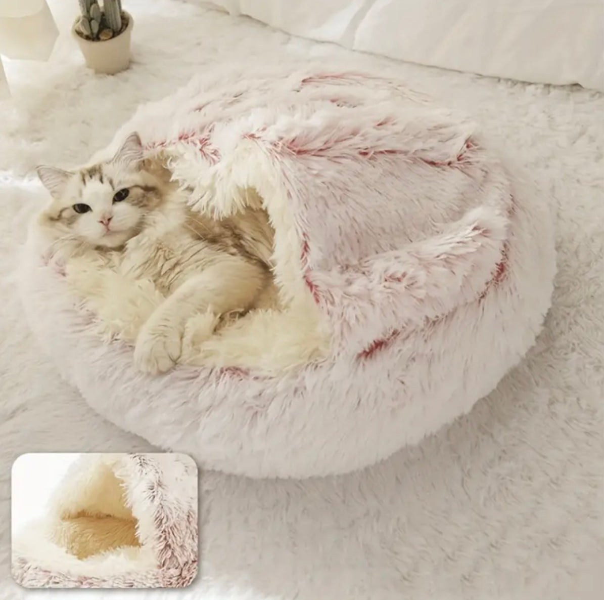 MyPlush Bed